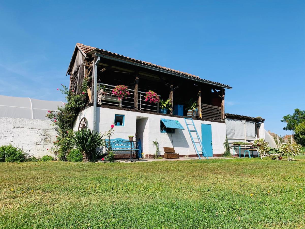 Lux House Olga Apartment Ruma Exterior foto